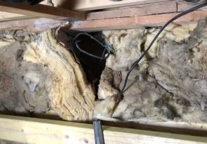 expert-electricite-nantes