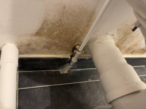 Humidité et moisissure 44210 PORNIC