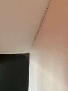 Expertiser des ponts thermiques avec moisissure sur LA BAULE-ESOUBLAC 44500