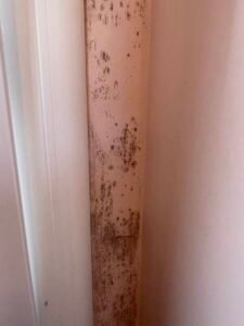 Expertiser des ponts thermiques avec moisissure sur LA BAULE-ESOUBLAC 44500