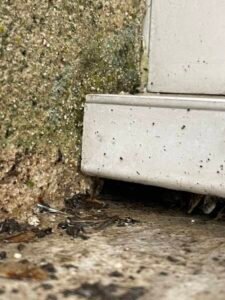 Fuite sous bavette de baie coulissantes. 44300 Nantes 