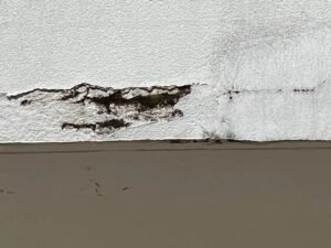 Risques et conséquences de fissures visibles sur balcon béton de façade La Baule 44500