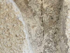 Fissures sur enduit extérieur façade, d'où cela vient-il ? à Nantes